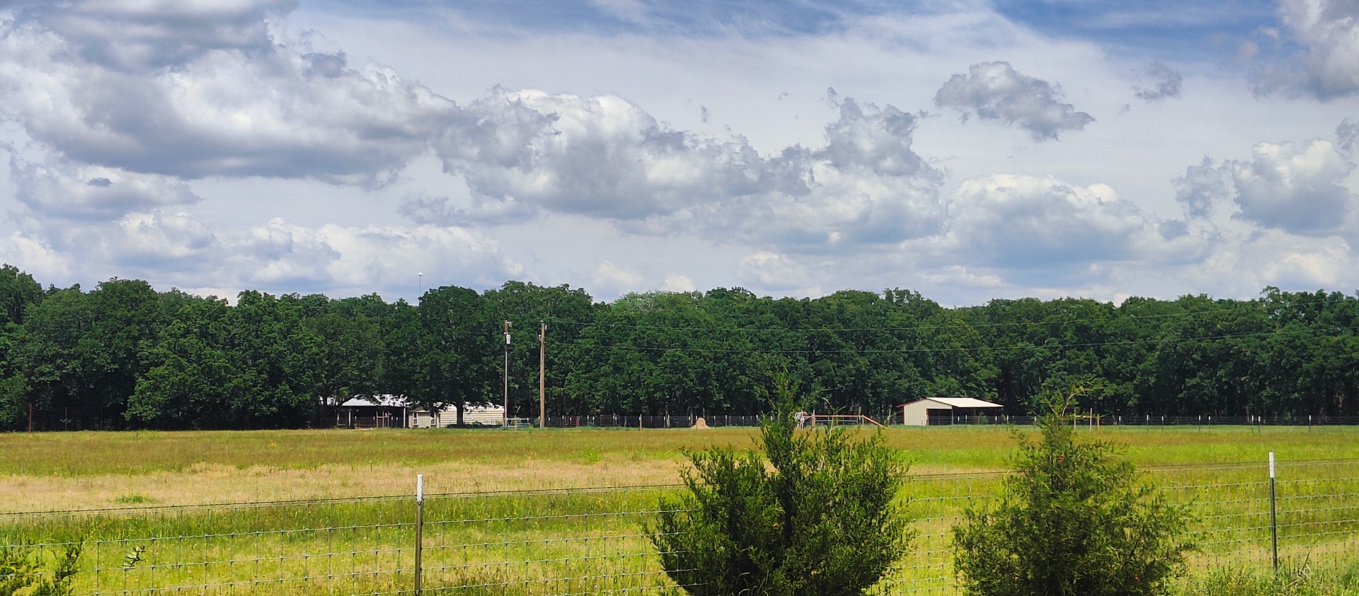 How to Start Homesteading? Read This!